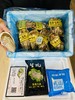 生鲜【乳山生蚝】个体大 肥度高 肉质好 味鲜美  一箱净重约5斤 送吃蚝三件套（手套 刀子 芥末） 山东顺丰包邮{冷冻生鲜请及时签收} 商品缩略图0