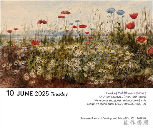 Art of Flowers 2025 Day-to-Day Calendar / 花的艺术  2025日历  大都会艺术博物馆花卉藏品 商品图4