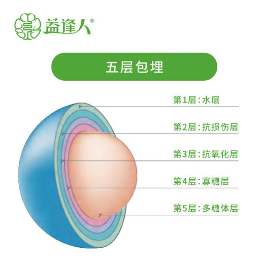 益逢人 益卫幽益生菌固体饮料 商品图2