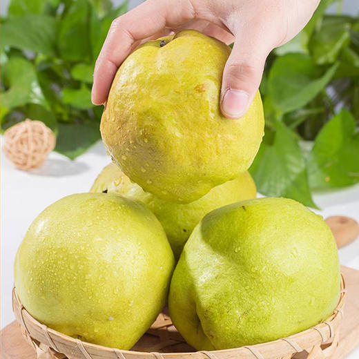 s孔雀金枝 新疆金枝玉露梨 新疆产区 脆甜多汁 果肉细腻 商品图2