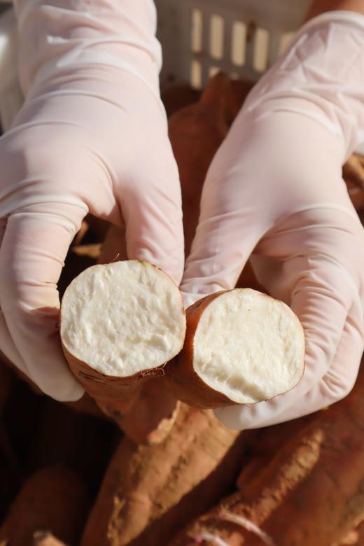 烟薯？紫薯？白哈密？【🍠地瓜三拼】为烤而生的烟薯25，烤一烤就流油；甜而不腻，香味独特的白哈密；甜度30+，富含花青素的溏心紫薯 商品图4