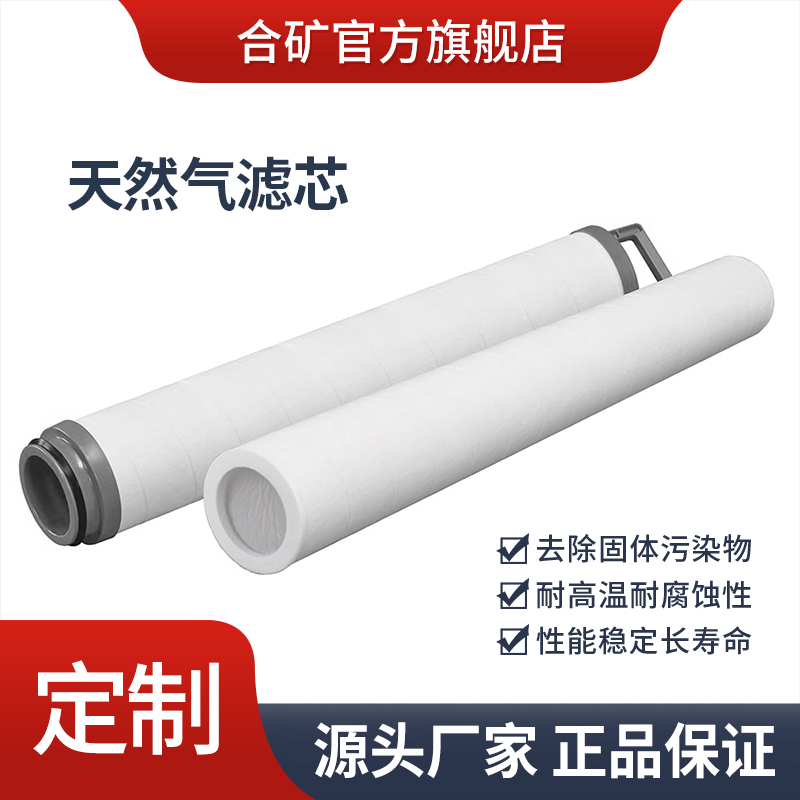 厂家定制 天然气滤芯 异形滤芯 定金