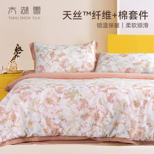 太湖雪天丝棉磨毛四件套 商品图0