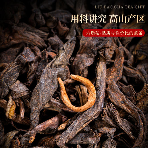 传德昌15年陈广西六堡茶 250g/罐 商品图2