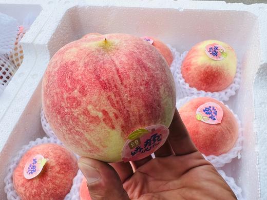 娇颜桃桃 金秋红蜜 桃子 礼盒装 一口下去 满嘴清甜 商品图3