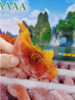 万邦优质柿饼一箱 商品缩略图3