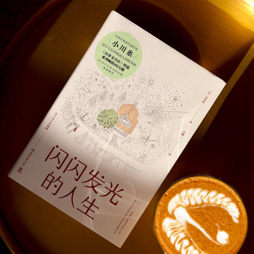 《闪闪发光的人生》精装版 《山茶文具店》续篇，日本书店大奖重磅推荐！ 商品图0