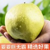 s孔雀金枝 新疆金枝玉露梨 新疆产区 脆甜多汁 果肉细腻 商品缩略图3
