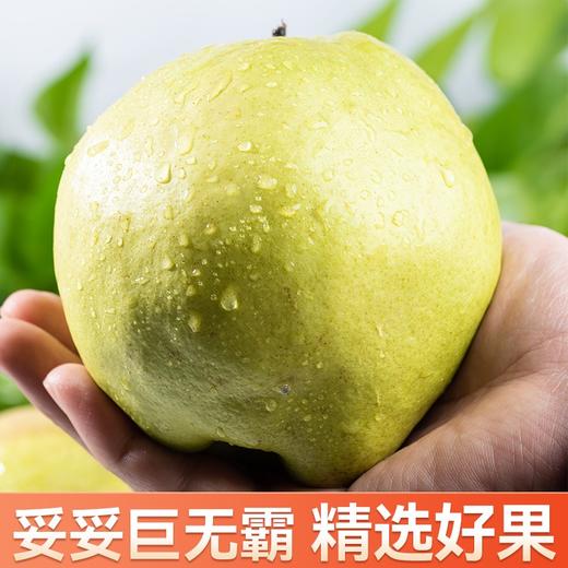 s孔雀金枝 新疆金枝玉露梨 新疆产区 脆甜多汁 果肉细腻 商品图3