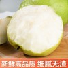 s孔雀金枝 新疆金枝玉露梨 新疆产区 脆甜多汁 果肉细腻 商品缩略图4