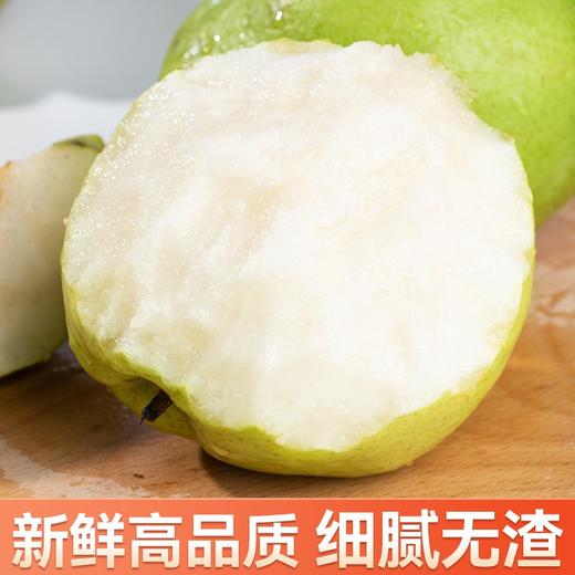 s孔雀金枝 新疆金枝玉露梨 新疆产区 脆甜多汁 果肉细腻 商品图4