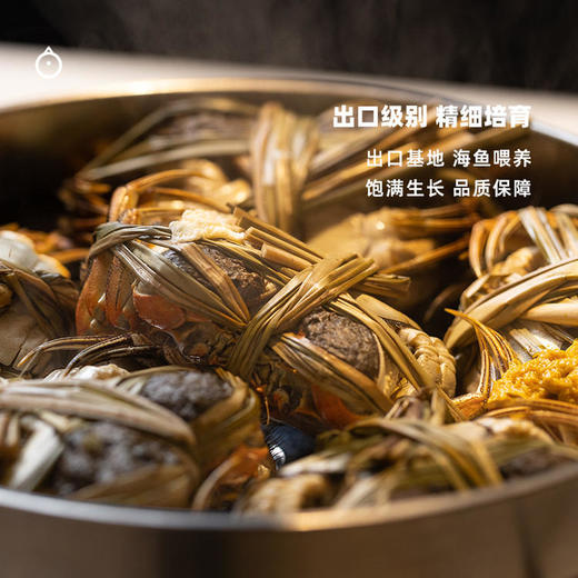 企鹅市集|江苏苏州大闸蟹家庭装 出口级别活蟹 膏润肉足 多规格可选 商品图1