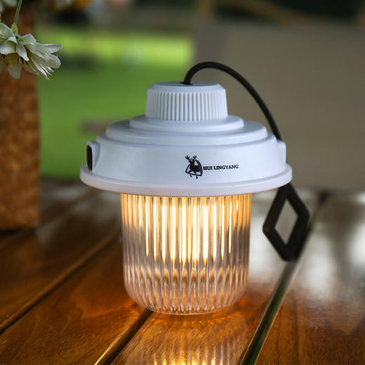 徽羚羊  露营小灯笼挂钩提灯  充电款  白色  HLY-LYD-23003 商品图0