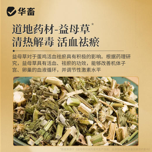 【社群专享】卵健1kg 清热除湿解毒消肿 输卵管炎肠炎等 商品图4
