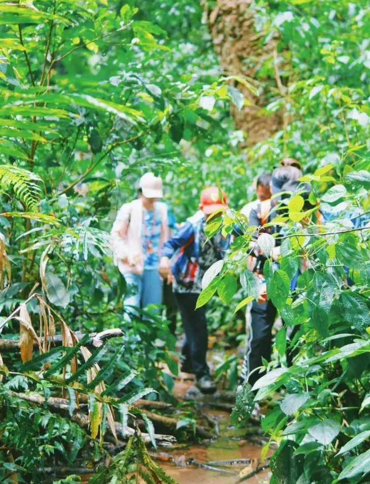 【云南】西双版纳亲子营 6天5晚