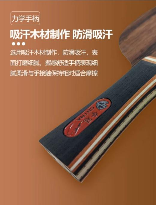 乒乓球拍底板金满贯夺冠之光系列专业级黑檀木炭素7层板 商品图1