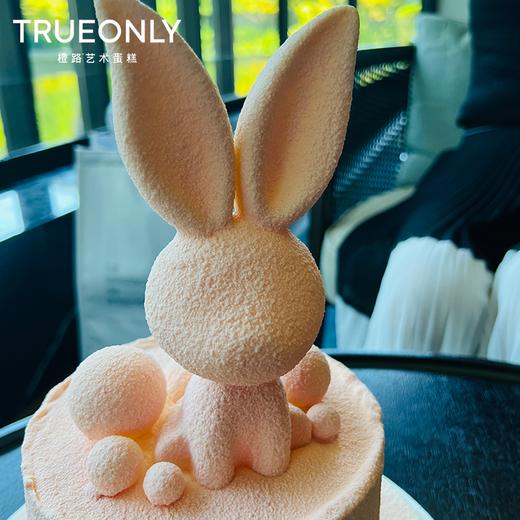 【大展宏“兔”】大展宏图，未来可期「5色可选」 商品图4