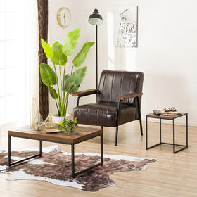 【家具】1人位沙发 斯坦恩NS 深棕