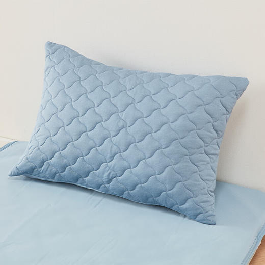 枕罩 夹棉可水洗 商品图0