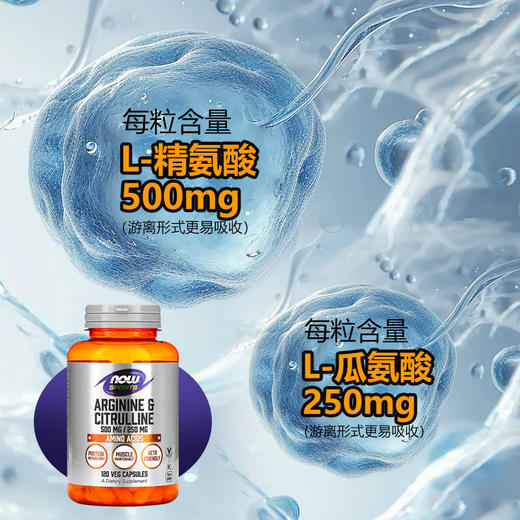 【NOW】美国诺奥 精氨酸瓜氨酸胶囊120粒/瓶 商品图1