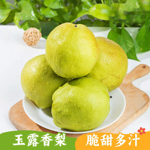 s孔雀金枝 新疆金枝玉露梨 新疆产区 脆甜多汁 果肉细腻 商品图0
