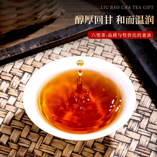 传德昌15年陈广西六堡茶 250g/罐 商品图3