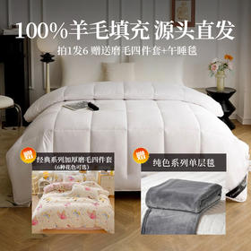 【山东音乐专属-羊毛被组合】 秋冬 新西兰羊毛被100%绵羊毛填充 200*230cm+磨毛四件套（适用1.5/1.8床） +毛毯午睡毯（100*140） （分包裹发货）  四季通用