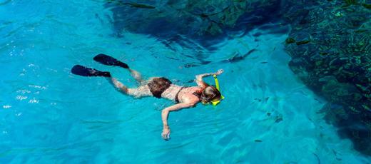 泰国普吉斯米兰海星快艇一日游【浮潜|往返接送】 商品图5