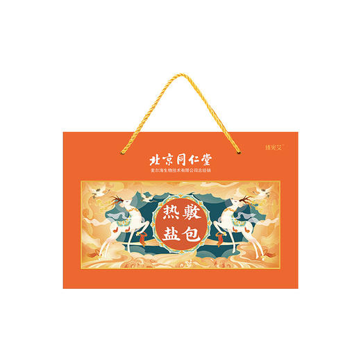 北京同仁堂热敷盐包电加热海盐粗盐热敷包家用温灸护腰热敷袋 商品图4