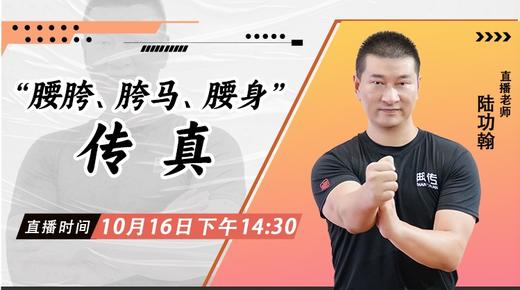 【10月16日】 “腰胯、胯马、腰身”传真—功夫课堂 商品图0