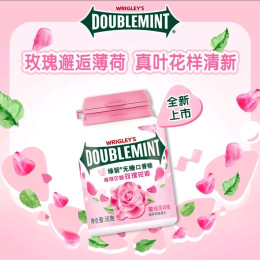 绿箭无糖口香糖玫瑰薄荷味56g 商品图0