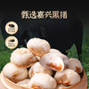 【头厨黑猪肉老面小笼包-香葱鲜肉】手工鲜制，一口下去鲜香多汁，营养早餐，全家放心吃 商品缩略图5