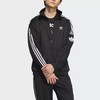 5折【自营】adidas/阿迪达斯  三叶草男女经典复古运动立领外套 JL8396 商品缩略图1