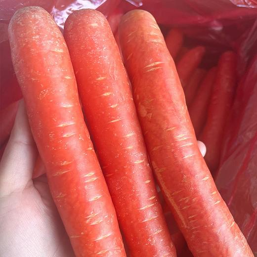 沙地水果胡萝卜【约2斤】 商品图7