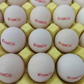 君铭赫生态果园鸡蛋 500g