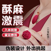 【谜姬】玫瑰指环+海豚吊坠 商品缩略图1