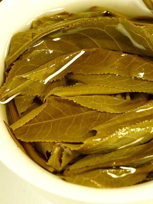 店铺鼎级藏品【禄票】2020年绿水塘核心中的的核心大单株，临沧绿水塘出道即巅峰，全球仅有四提，每提均锡罐包装 商品图5