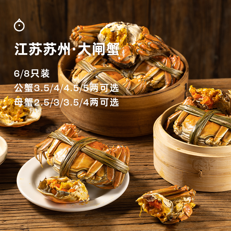 企鹅市集|江苏苏州大闸蟹家庭装 出口级别活蟹 膏润肉足 多规格可选