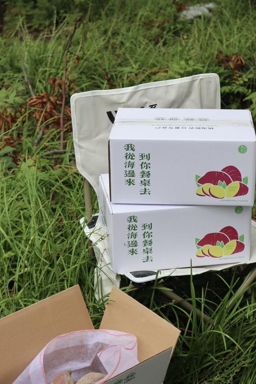 烟薯？紫薯？白哈密？【🍠地瓜三拼】为烤而生的烟薯25，烤一烤就流油；甜而不腻，香味独特的白哈密；甜度30+，富含花青素的溏心紫薯 商品图8