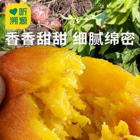 【安纳芋香蜜薯】香香甜甜 细腻绵密