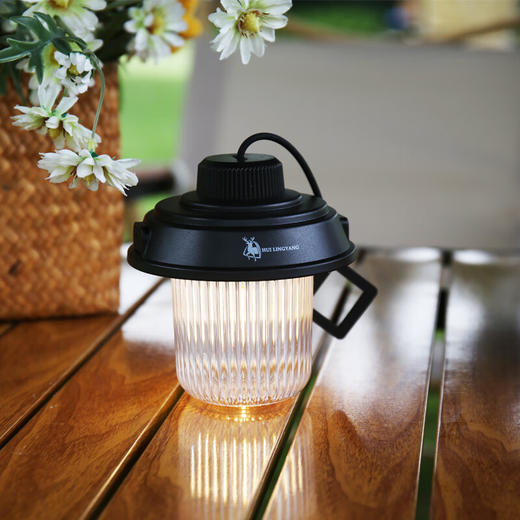 徽羚羊  露营小灯笼挂钩提灯  充电款  黑色  HLY-LYD-23001 商品图4