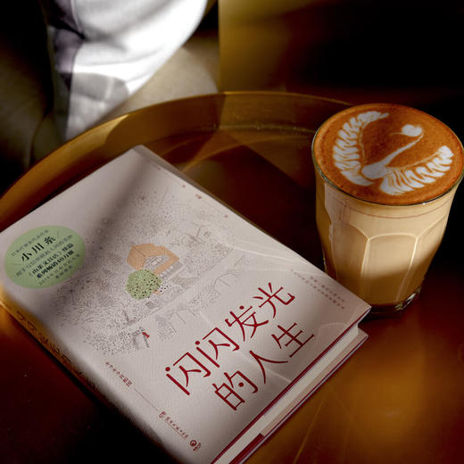 《闪闪发光的人生》精装版 《山茶文具店》续篇，日本书店大奖重磅推荐！ 商品图1