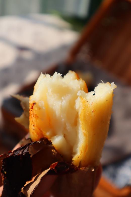 烟薯？紫薯？白哈密？【🍠地瓜三拼】为烤而生的烟薯25，烤一烤就流油；甜而不腻，香味独特的白哈密；甜度30+，富含花青素的溏心紫薯 商品图2