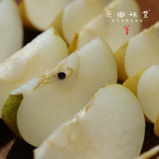 生态秋月蜜梨&冰淇淋丑梨&佛手梨（基地直发-顺丰包邮）| 多种规格，来自山东青岛莱西小沽河畔，生产者：小康园主【合作生产，公平贸易】 商品图5