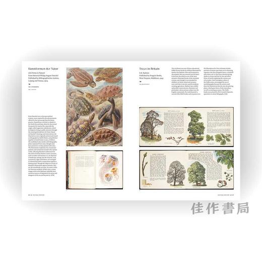 The Art of the Illustrated Book (Victoria and Albert Museum) / 插画书的艺术 商品图4