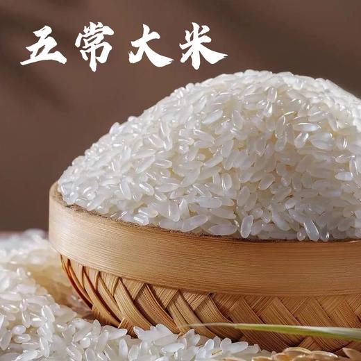 【软糯筋道】东北五常稻花香大米·源头直发 商品图2