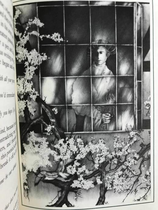 限量版！笛福《摩尔·弗兰德斯》 配多幅经典插图 豪华皮装大32开 商品图6