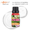 财富·吸引力香薰油无火香薰精油哥珞卡植物香氛家用室内车载香薰 商品缩略图1