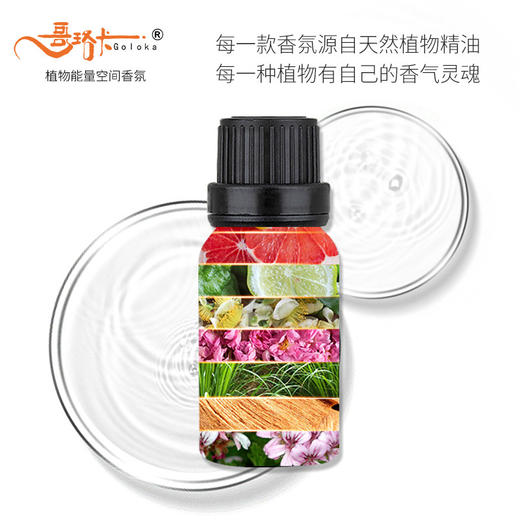 财富·吸引力香薰油无火香薰精油哥珞卡植物香氛家用室内车载香薰 商品图1