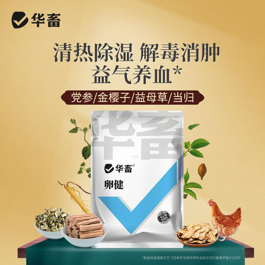 【社群专享】卵健1kg 清热除湿解毒消肿 输卵管炎肠炎等 商品图0